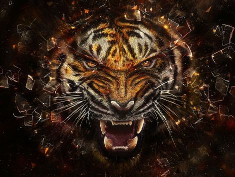 angry-tiger-tigers-31737545-1920-1440.jpg